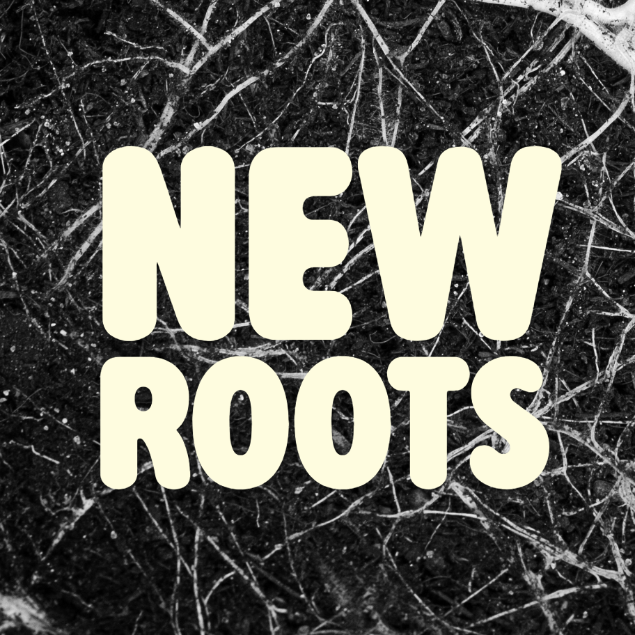 New Roots Animation Commission