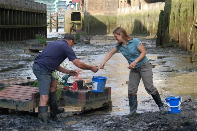 Thames Wildlife Superhighway