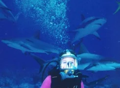 World Gone Wild - Fox Television