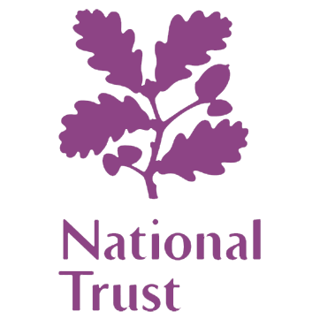 NT-Logo-purple.png