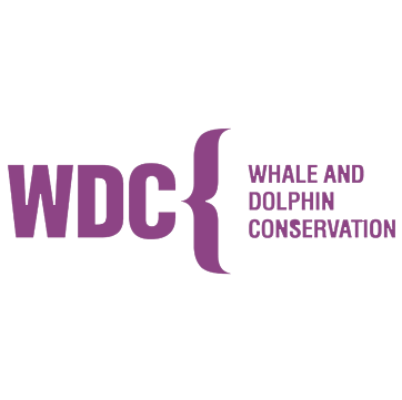 WDC-loog-purple.png