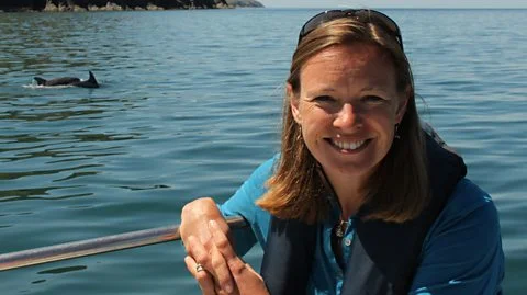 Britain's Big Wildlife Revival - BBC2