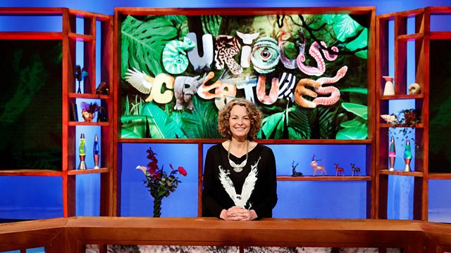 Curious Creatures - BBC2