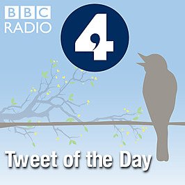 Tweet of the Day - Radio 4