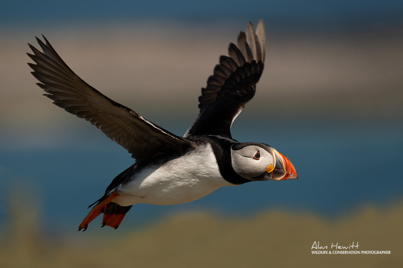 North West Birdwatching Festival 2018