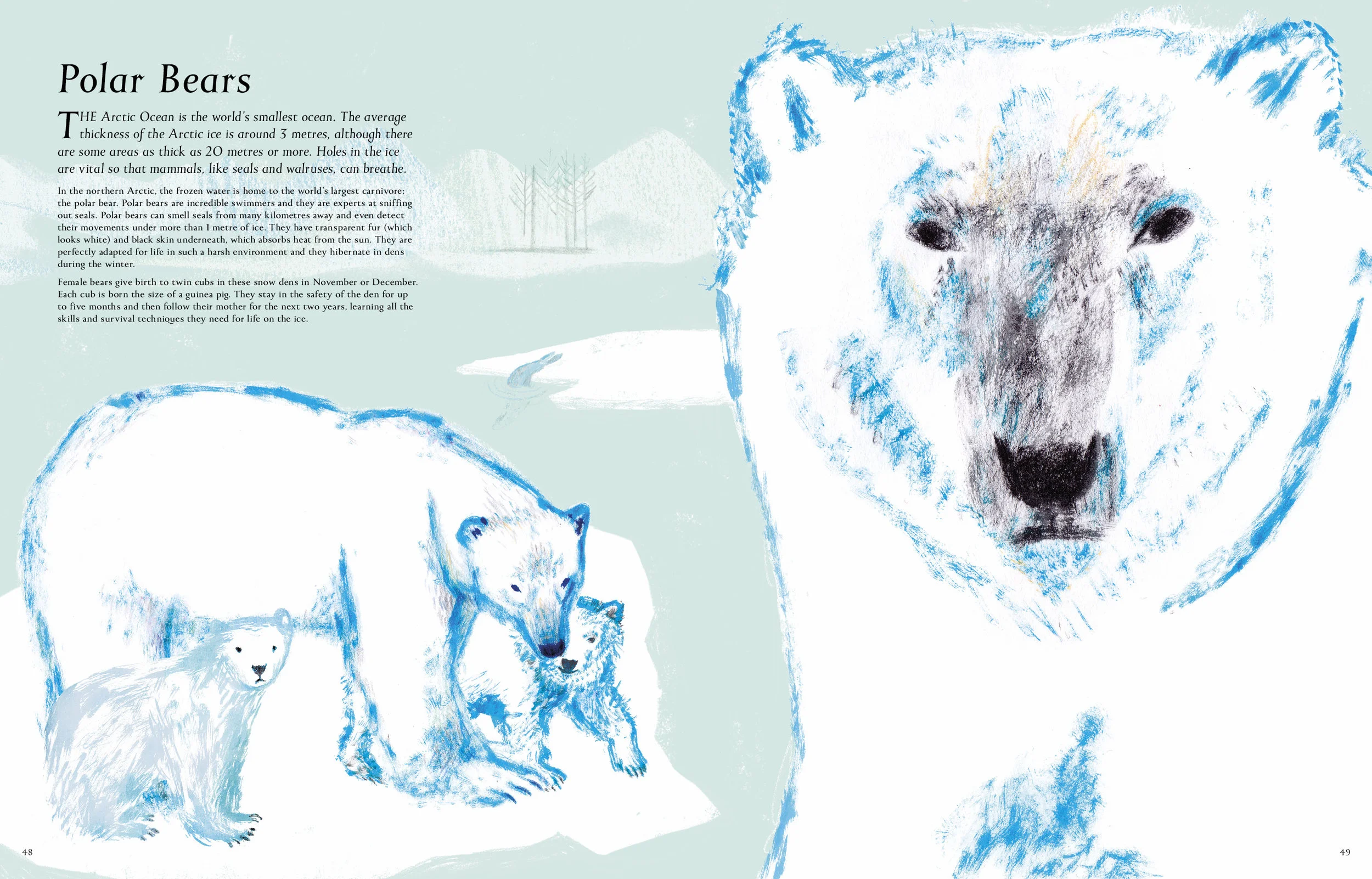 Polar Bears Spread.jpg