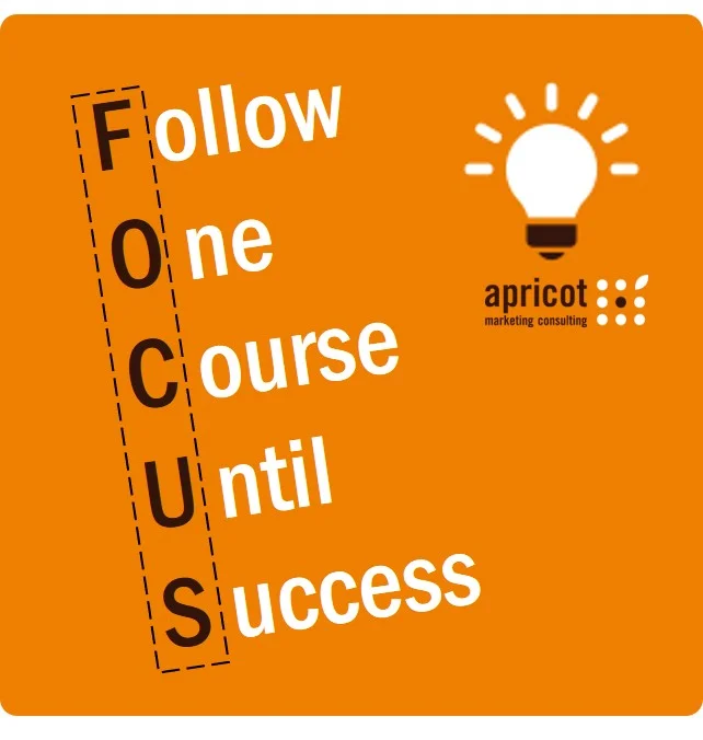 FollowOneCourseUntilSuccess_Focus_Nervenstärke_SonjaDirr_apricot.jpg