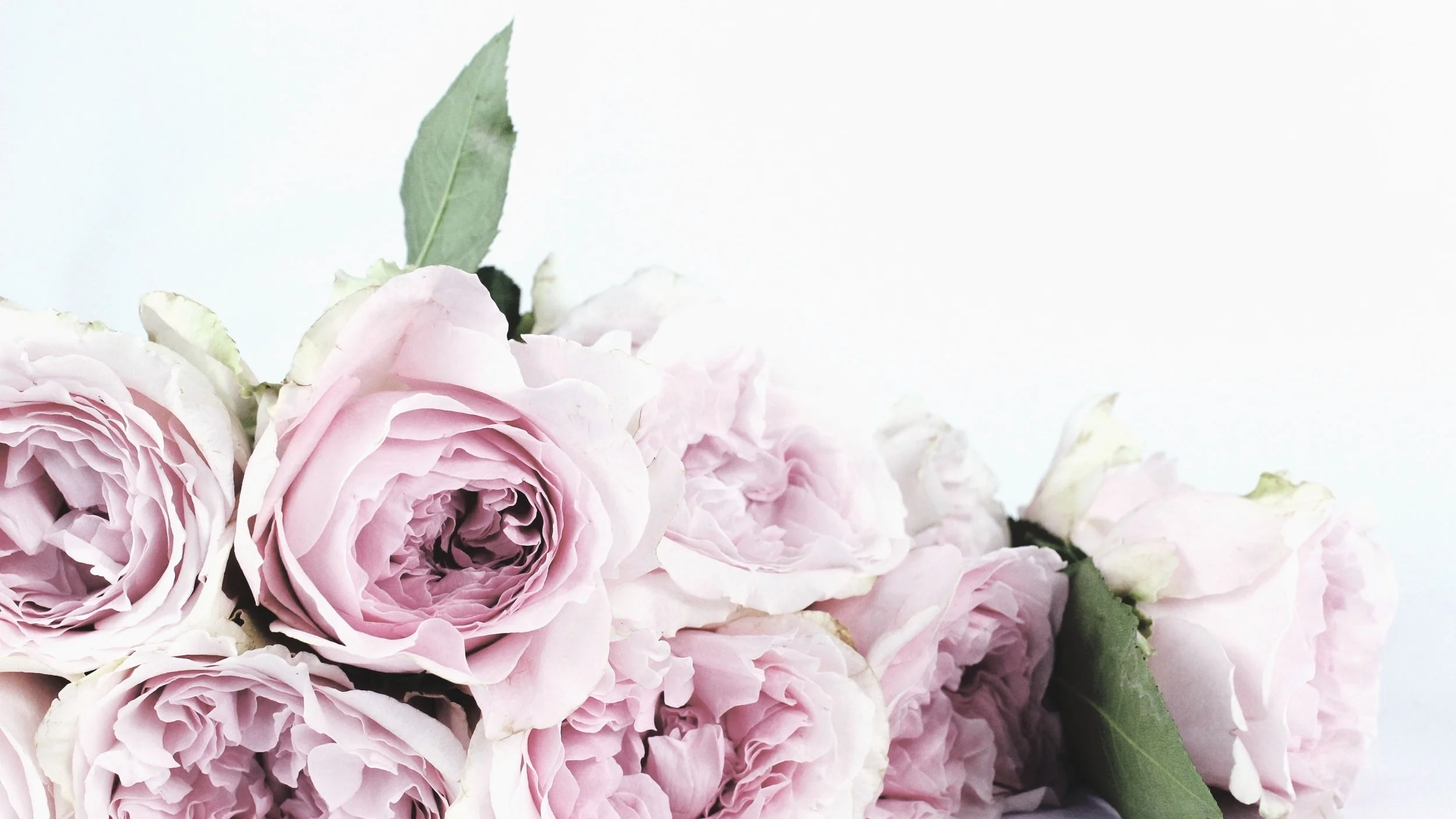 bloom-blossom-bouquet-122734.jpg