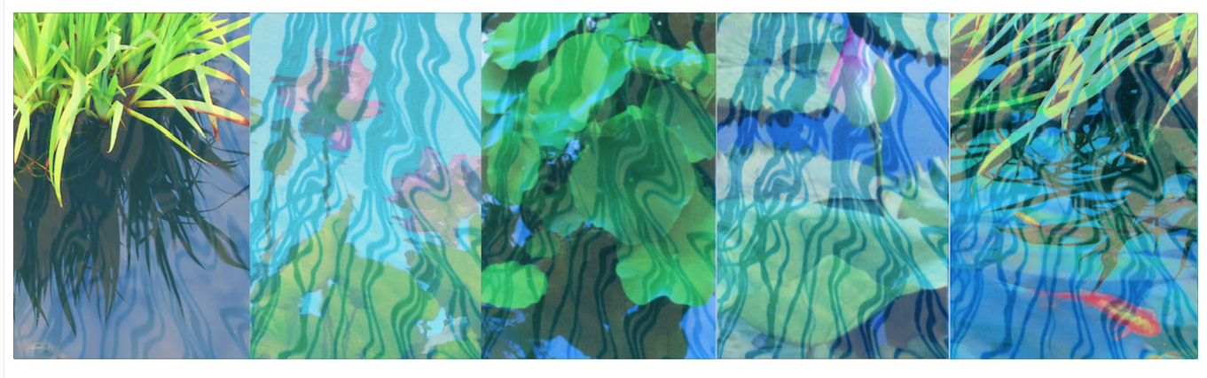Pond Tableau VI
