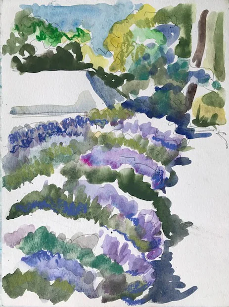 Lavender Path at Wave Hill, Riverdale, NY