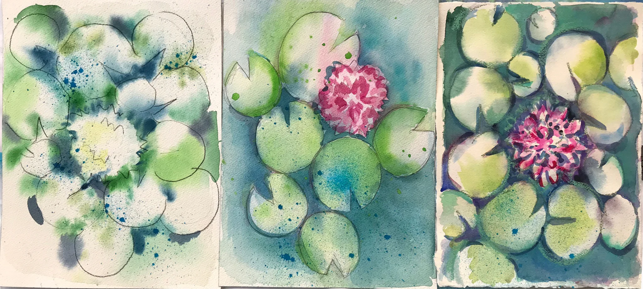 Pond Studies