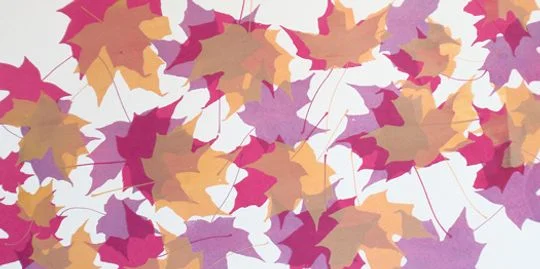 Autumn Leaves Series