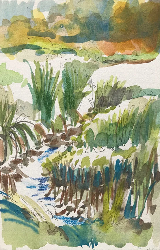Pond Sketch III
