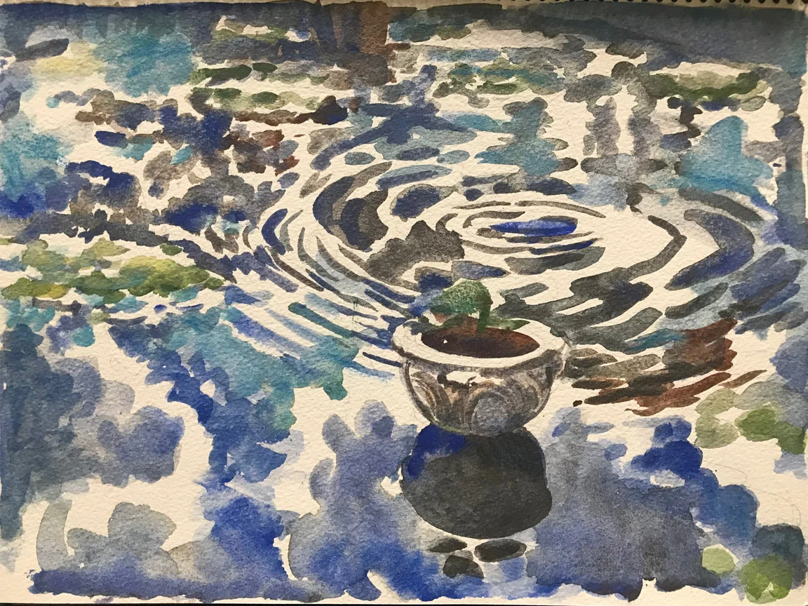 Pond IV at Wave Hill
