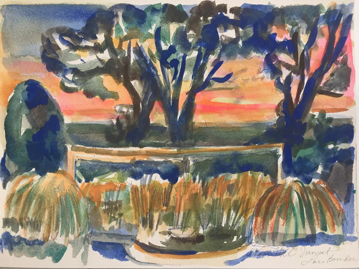 Pond VI