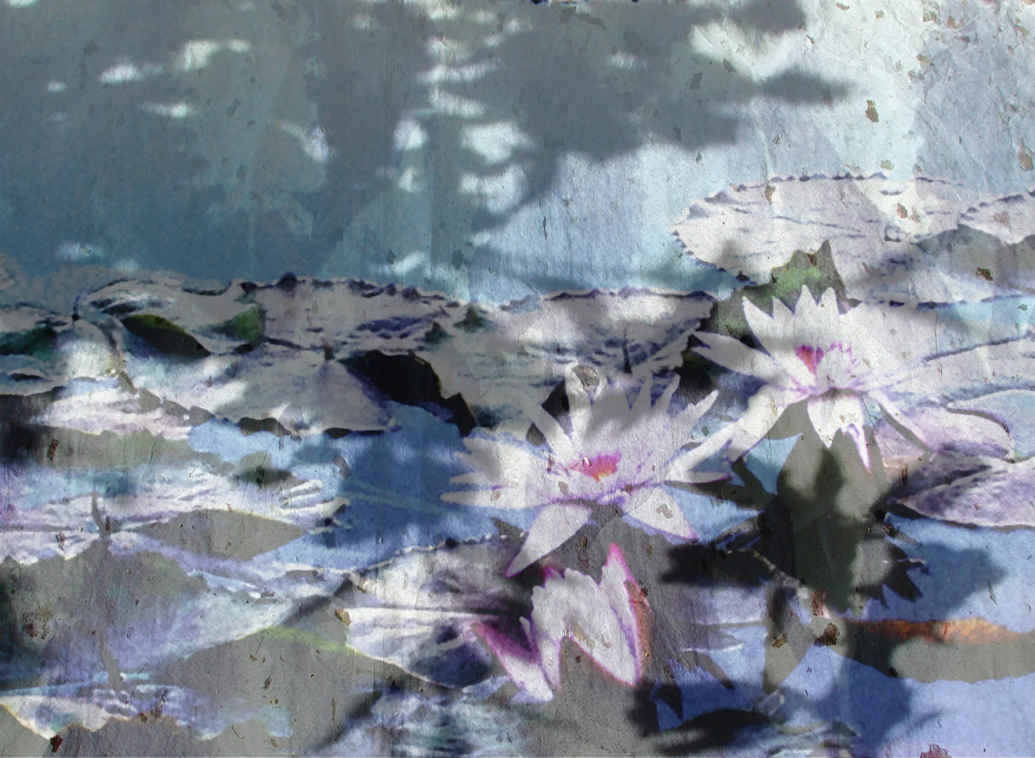 4/   Pond Lily Poem II