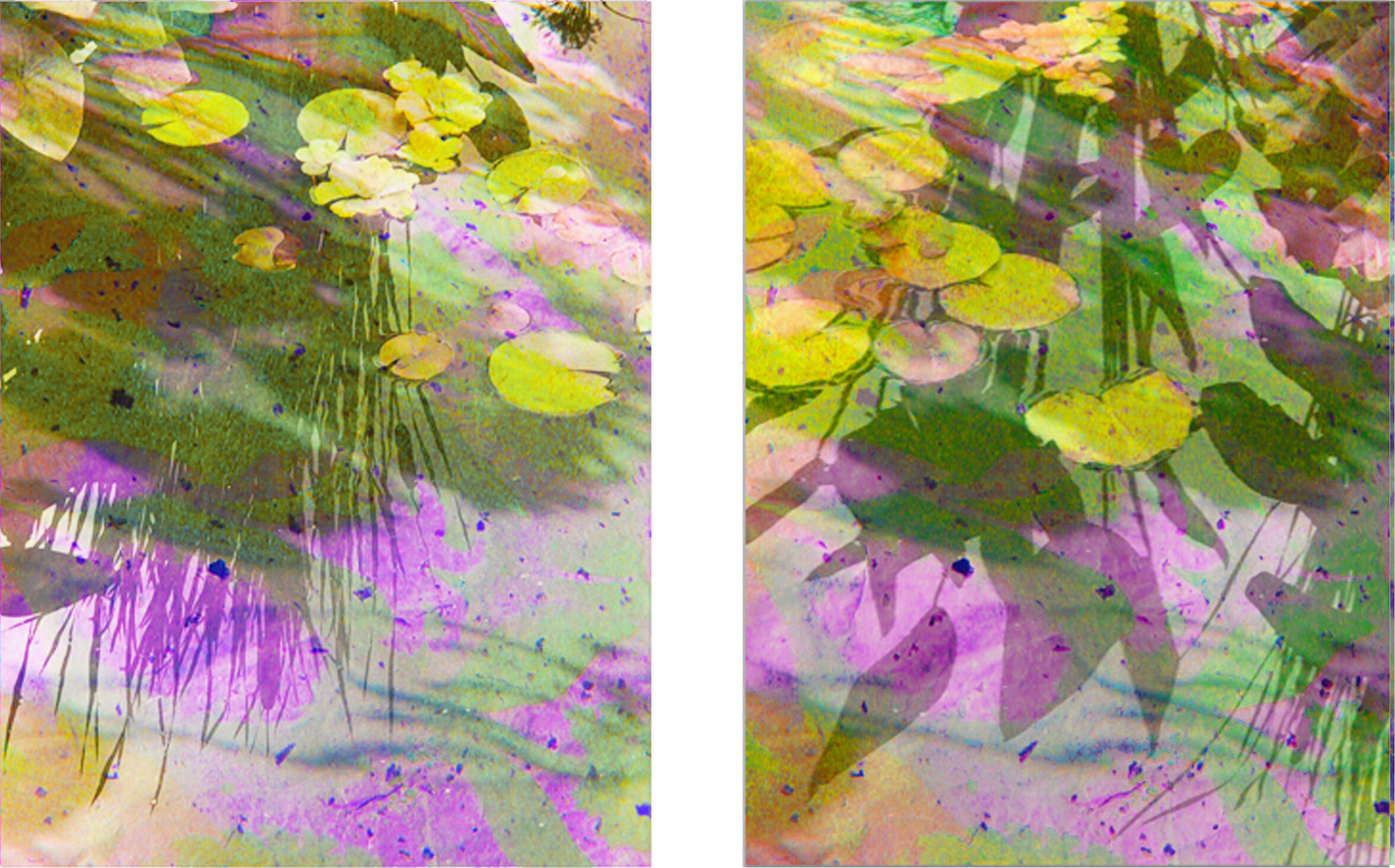 6/  Pond Color Poems III + IV