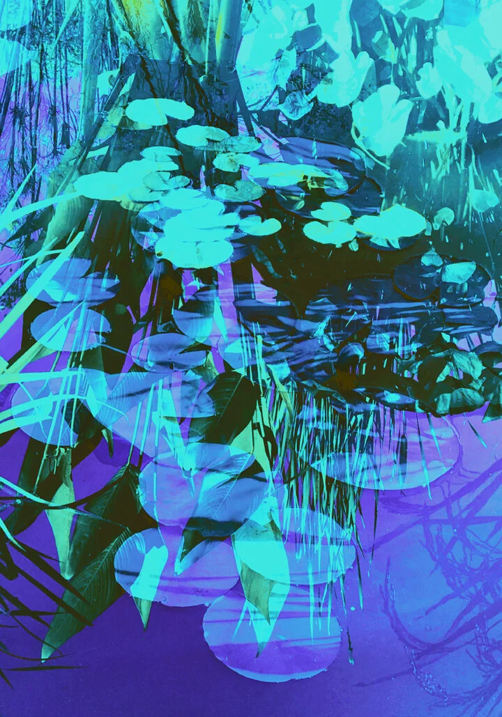 Pond Pentimenti I