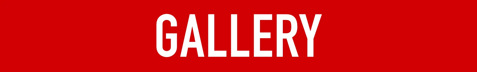 WFGALLERY1.jpg