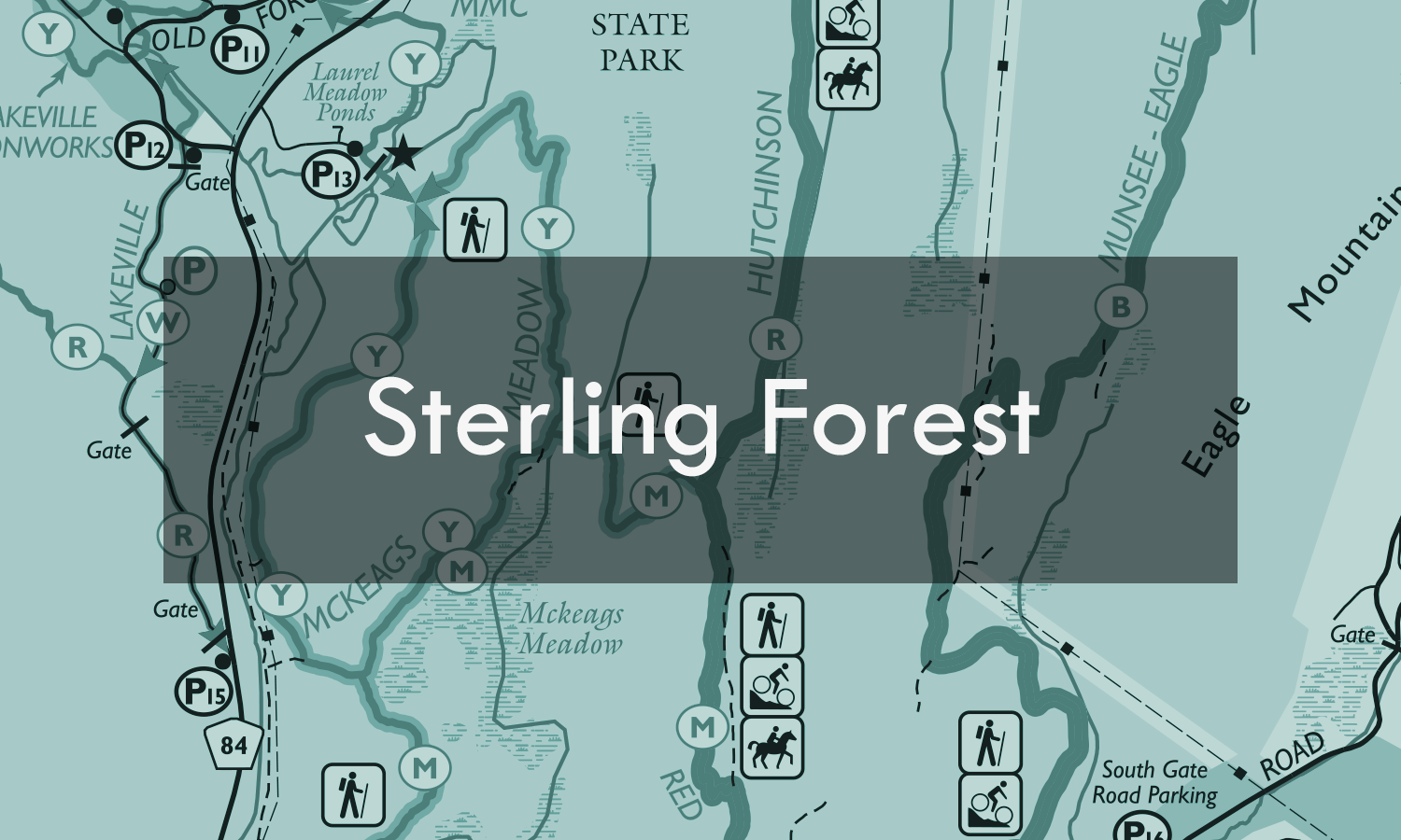 Sterling Forest_blue.png