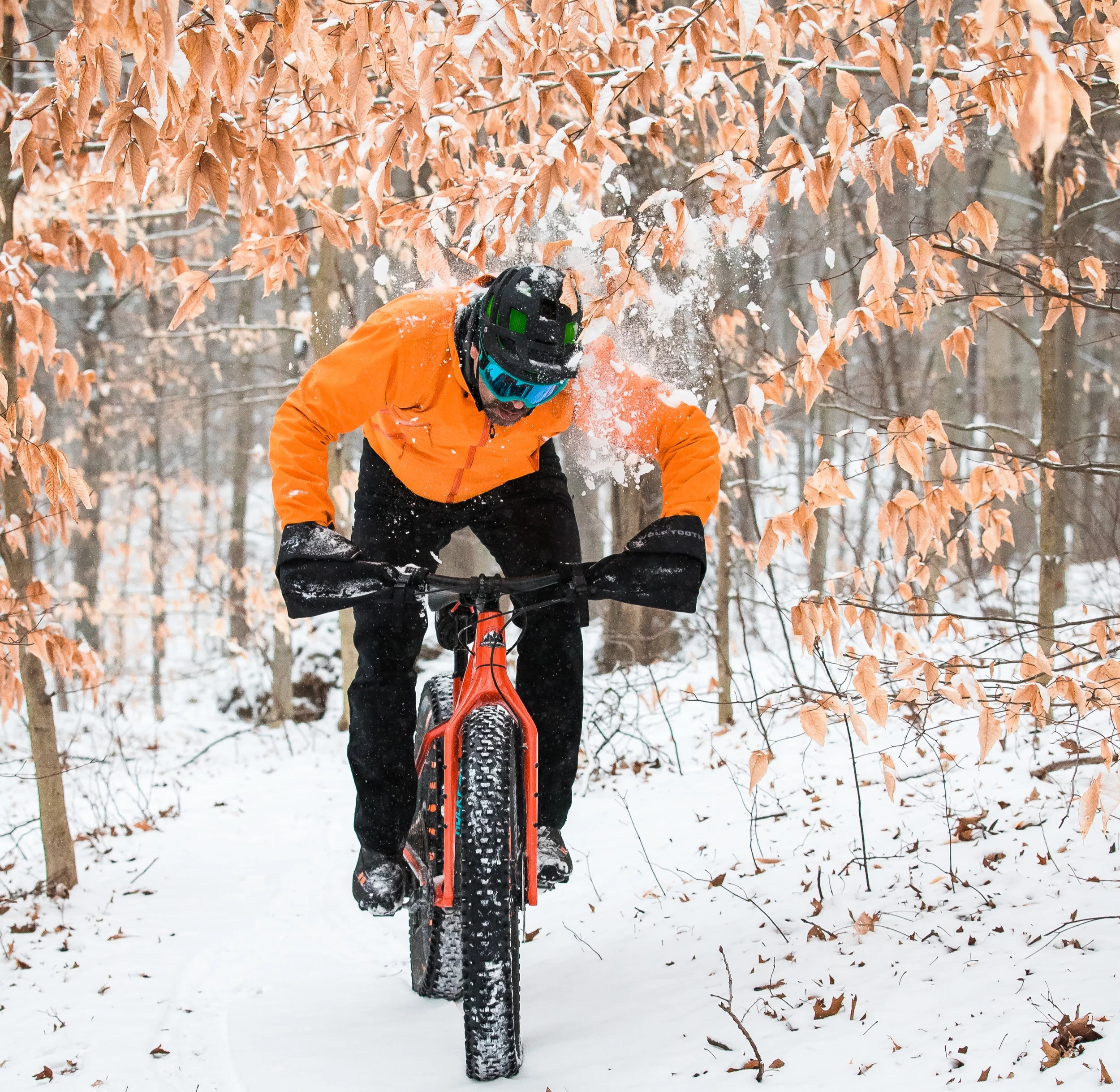 Shepard+-+Snow+Ride-3.jpg
