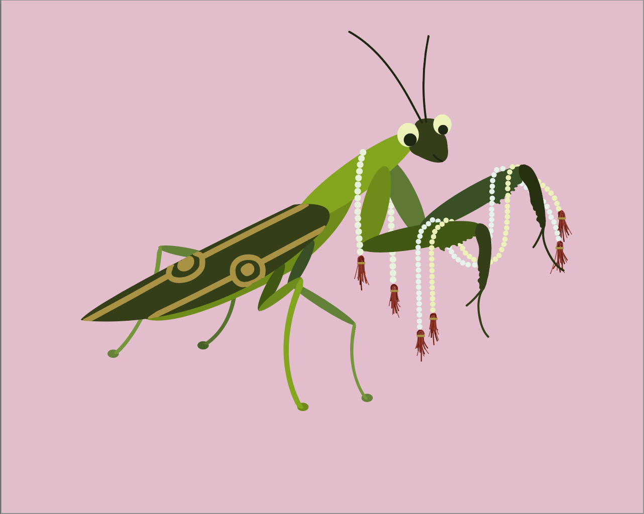 Screen Shot 2020-11-24 at 7.59.24 AM.png