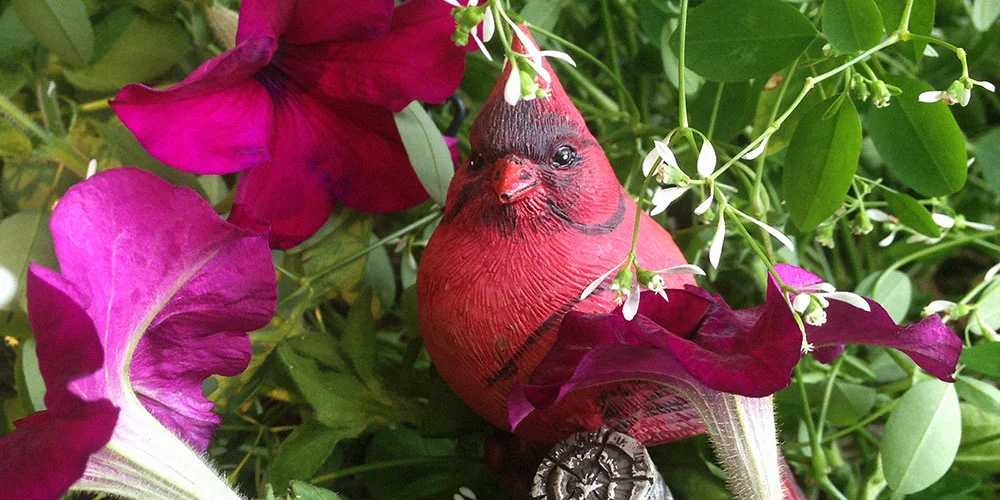 Snowflakes In The Summertime