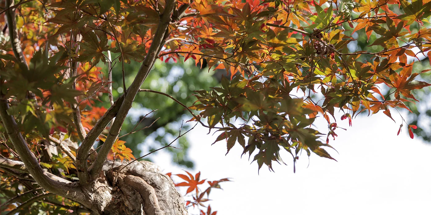 What Season Are You In?