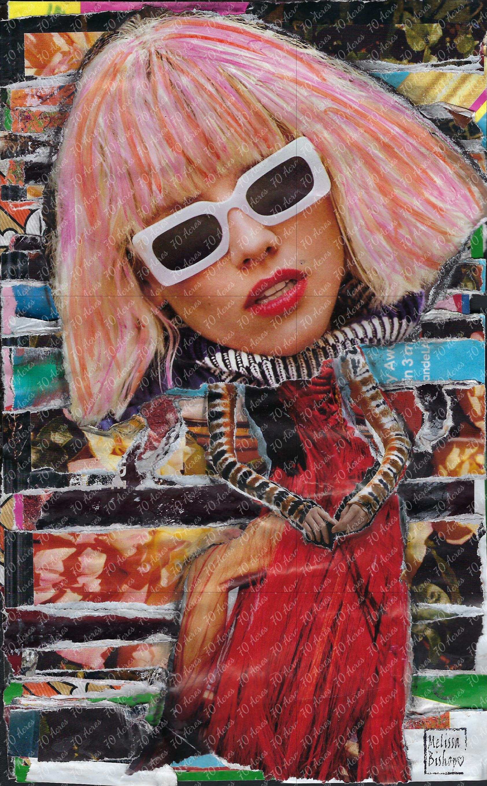 Survival-collage-onblack.png