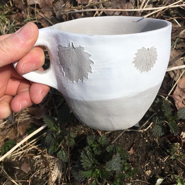 Nettles are up! I made a few small pinch mugs, decorated with these nettle leaves. The leaves have a great shape and texture that prints well on the clay. When they get a little bigger I&rsquo;ll start to harvest for eating and tea, and press them on
