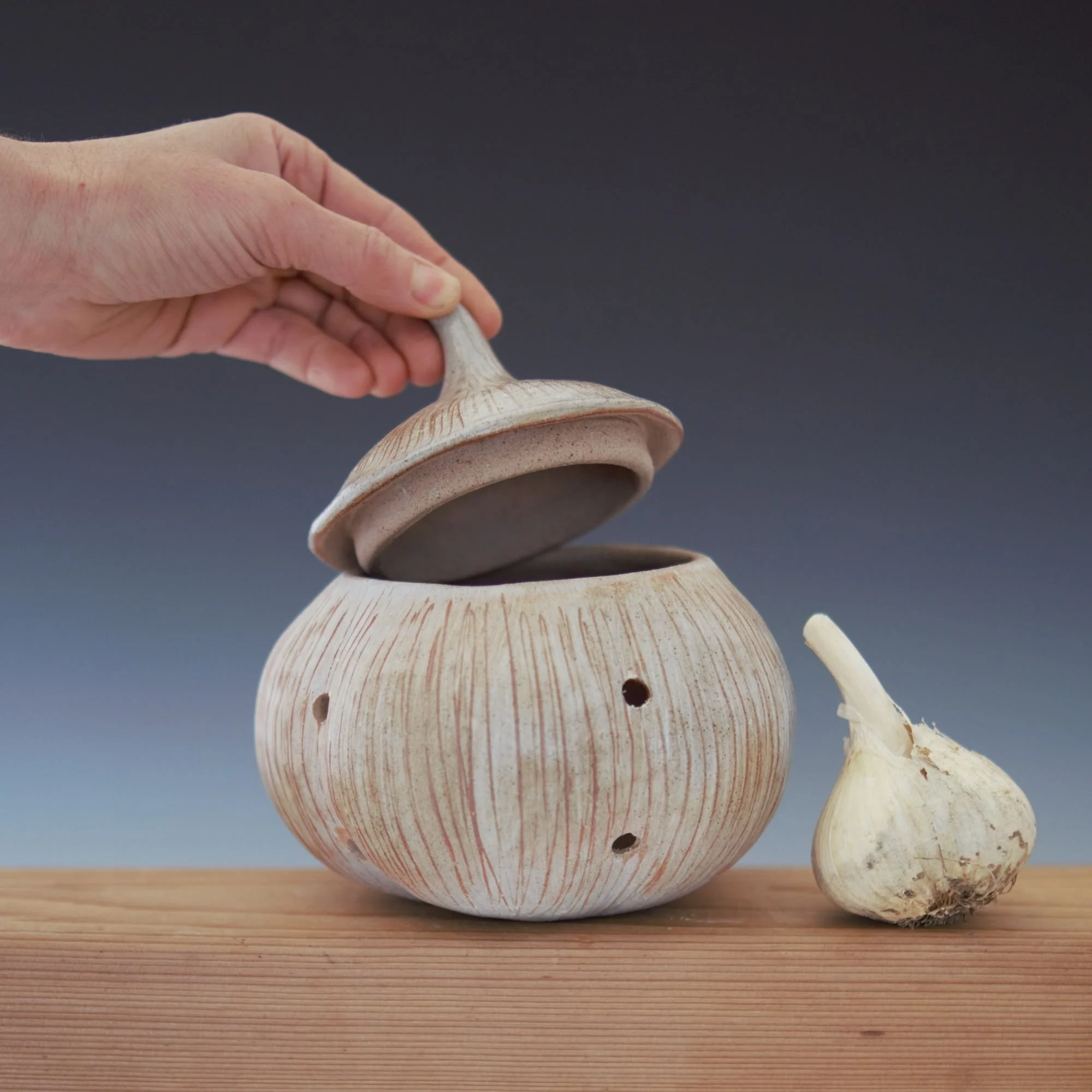 garlic14b.1.jpg