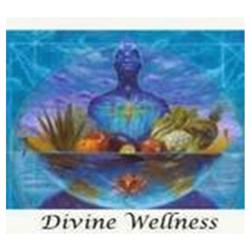 Divine Wellness Holistic Life-Coaching &amp; Counseling Services