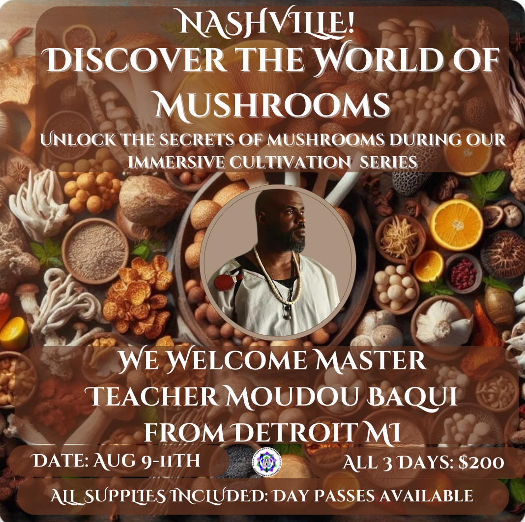 The Mushroom Master Class Workshop Series