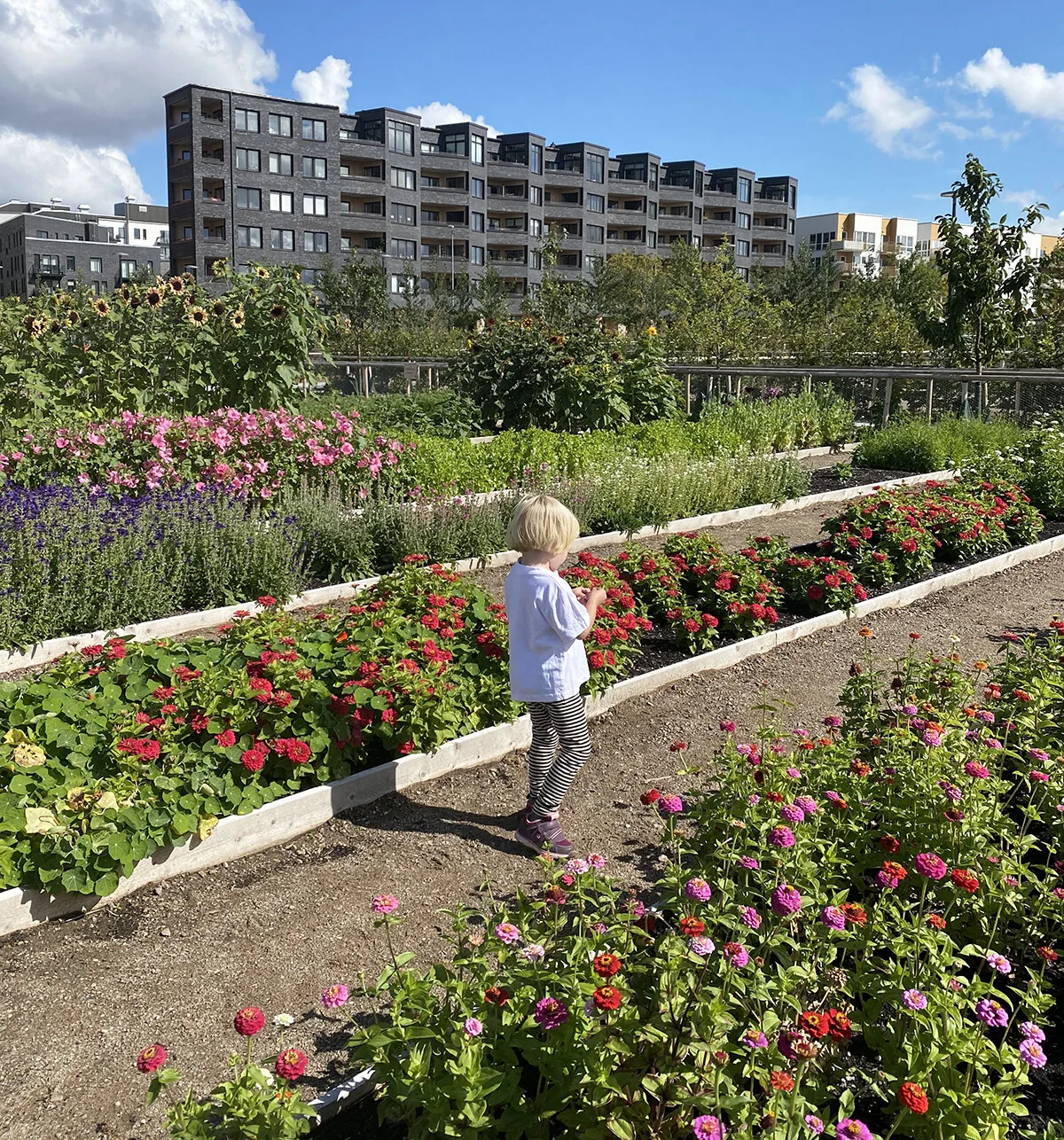 Hyllievångsparken — Plot Studio