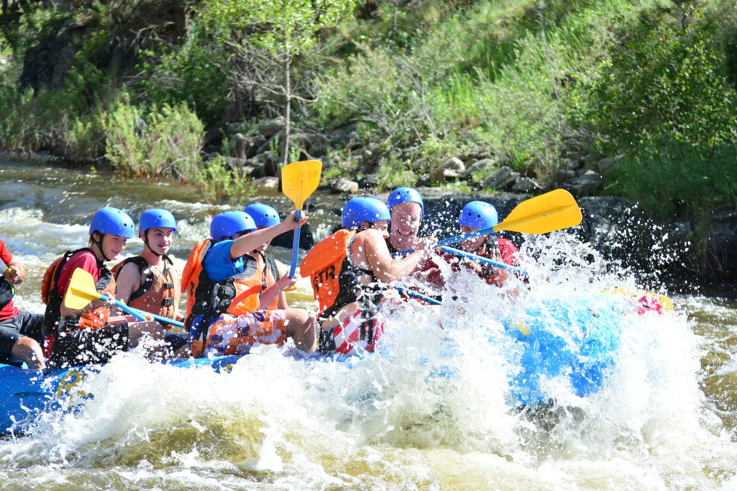 the raft book online