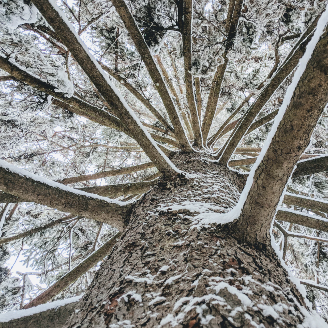 Making Sense of Christianity’s Branches: Meet an Anglican