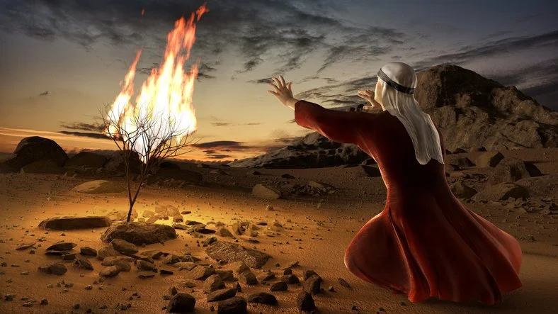 Advent 2021 – The Jesse Tree: How to be a Hero  