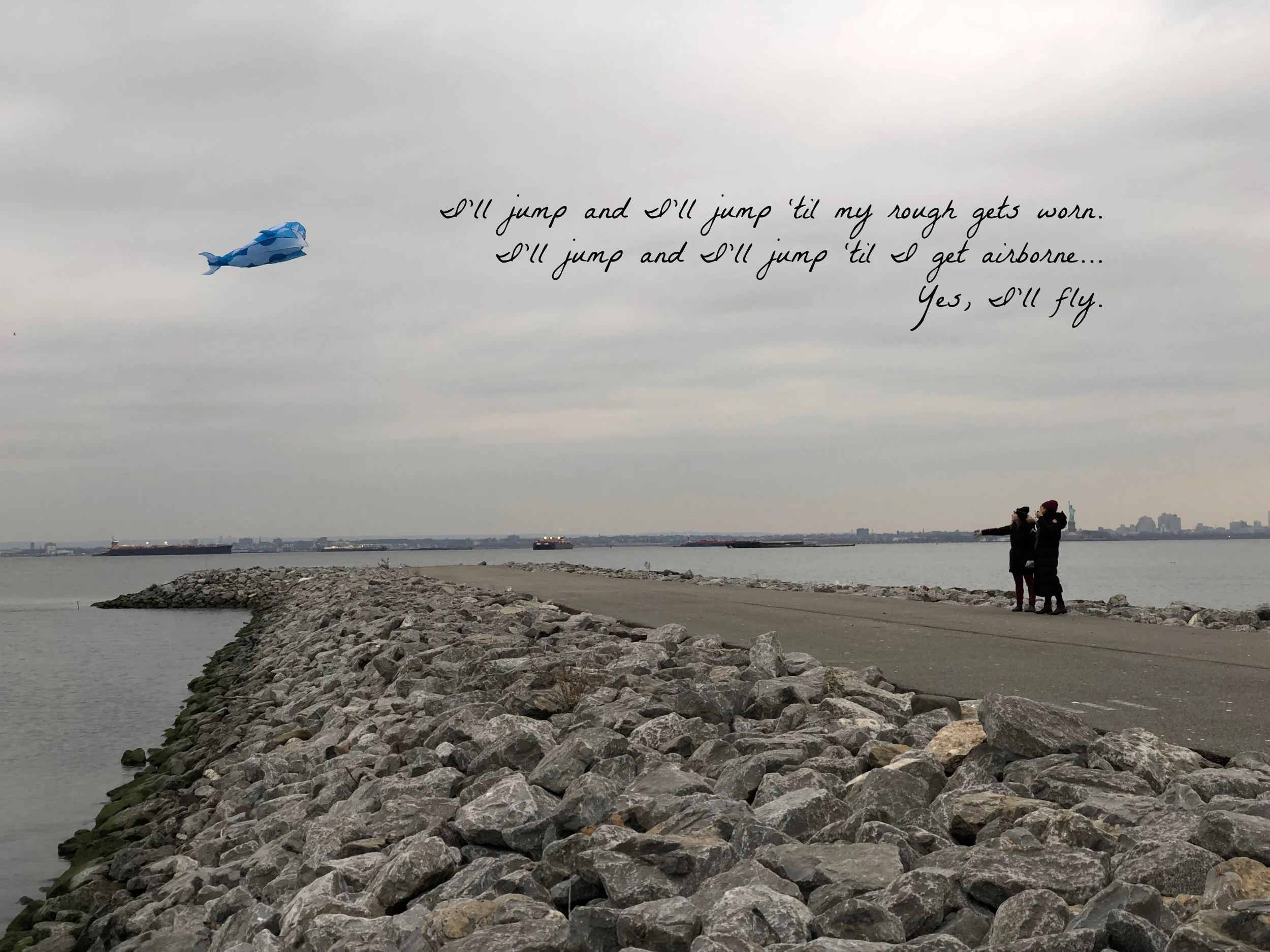 Fly.jpg