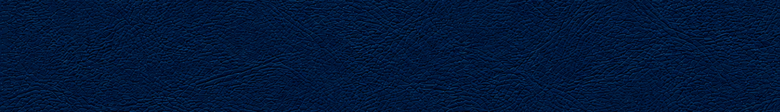 Michigan Ross.png