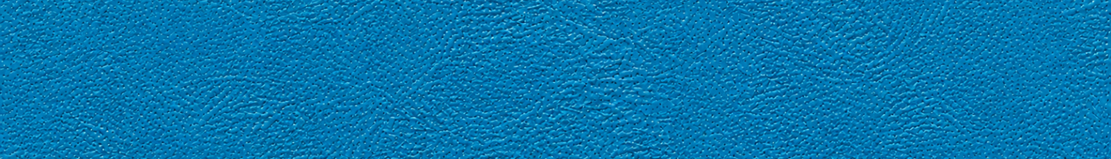 Columbia Business School textured.png