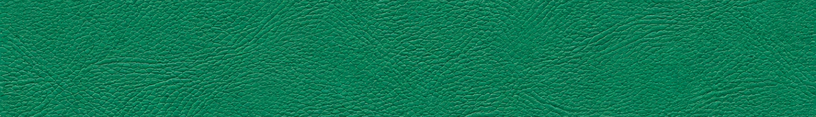 INSEAD Banner #00895F (1).png