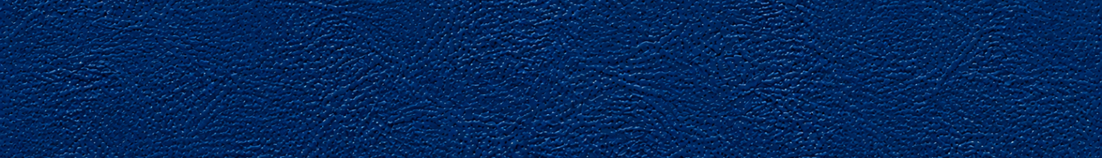 Berkeley Haas texture (1).png