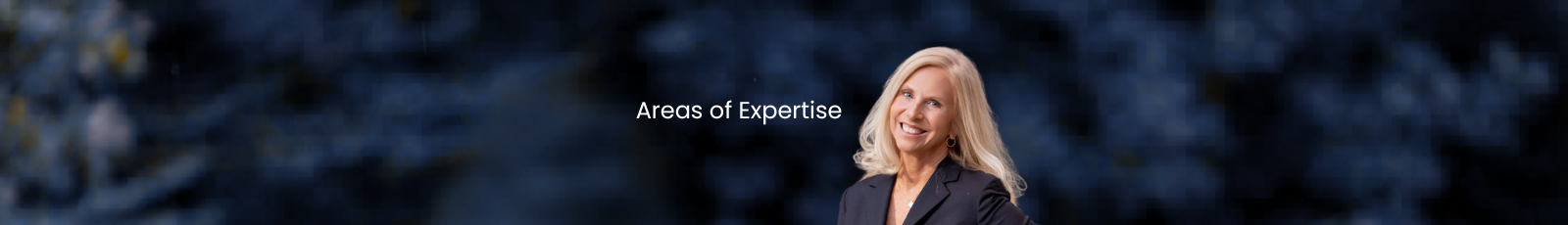 Areas of Expertise test (5).png