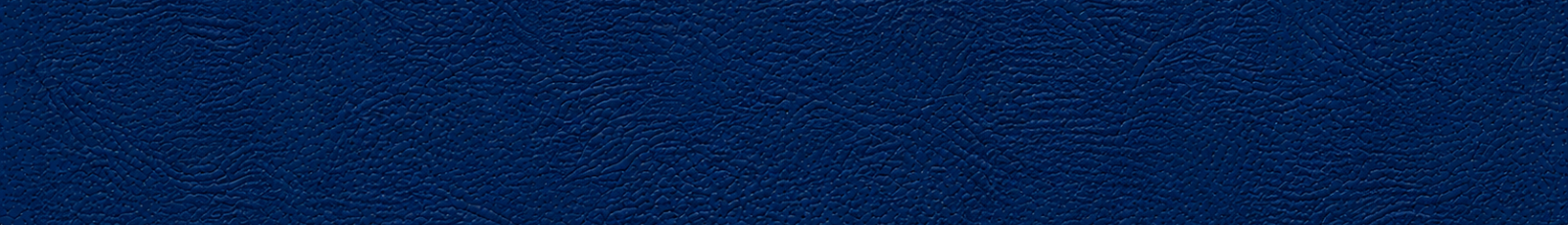 Yale SOM banner (1).png