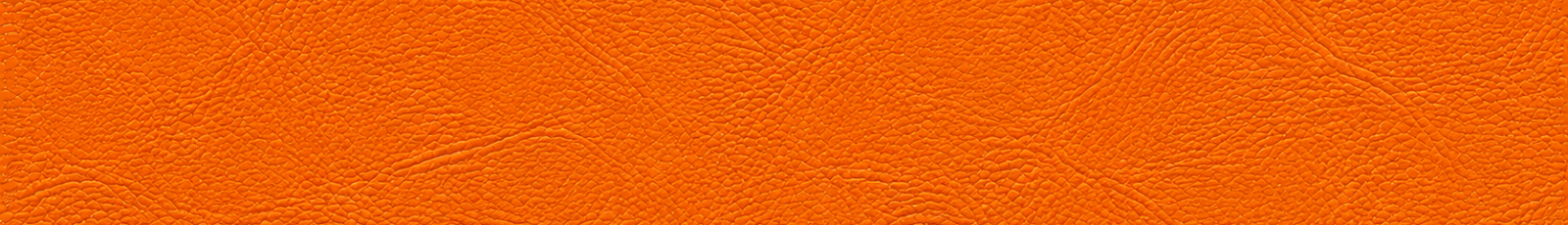 UVA Darden Banner - textured.png