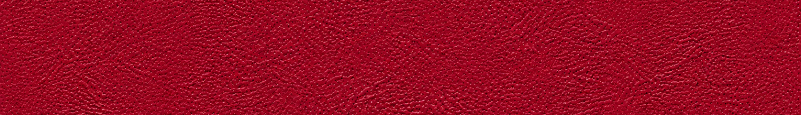 MIT Sloan texture (1).png