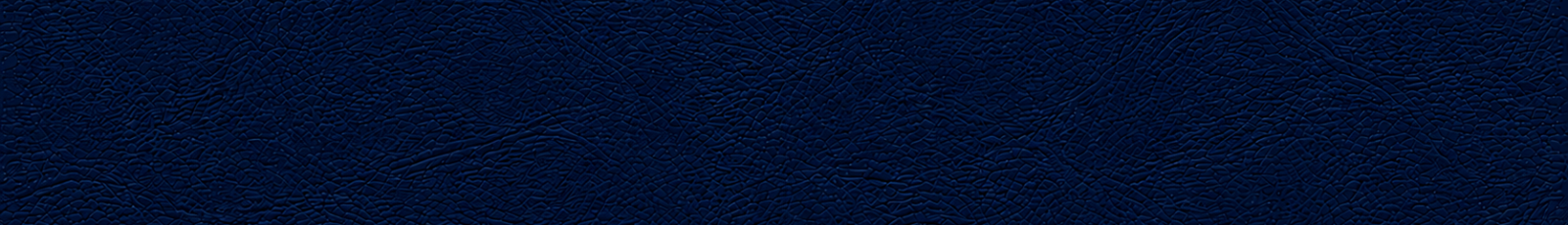 Georgetown Banner.png