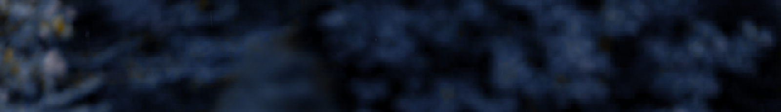 Areas of Expertise -blank.png