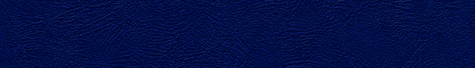 London Business School textured (1).png