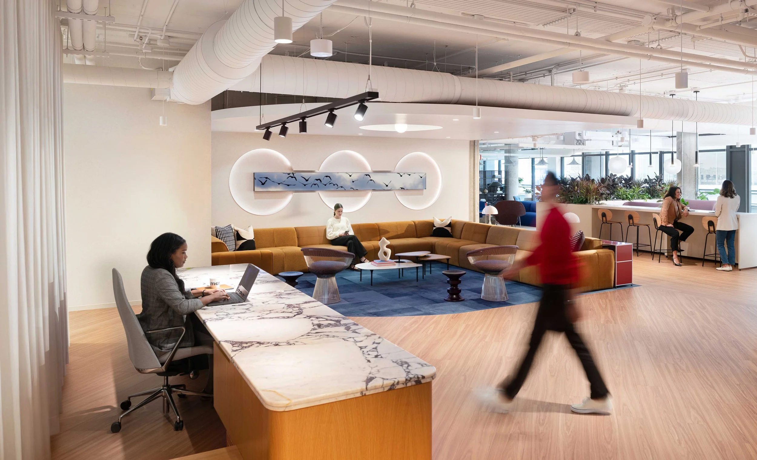 Continua Interiors with Ware Malcomb